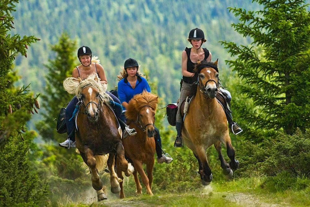 Rondane River Lodge - Rondane Gjestegard Enden エクステリア 写真