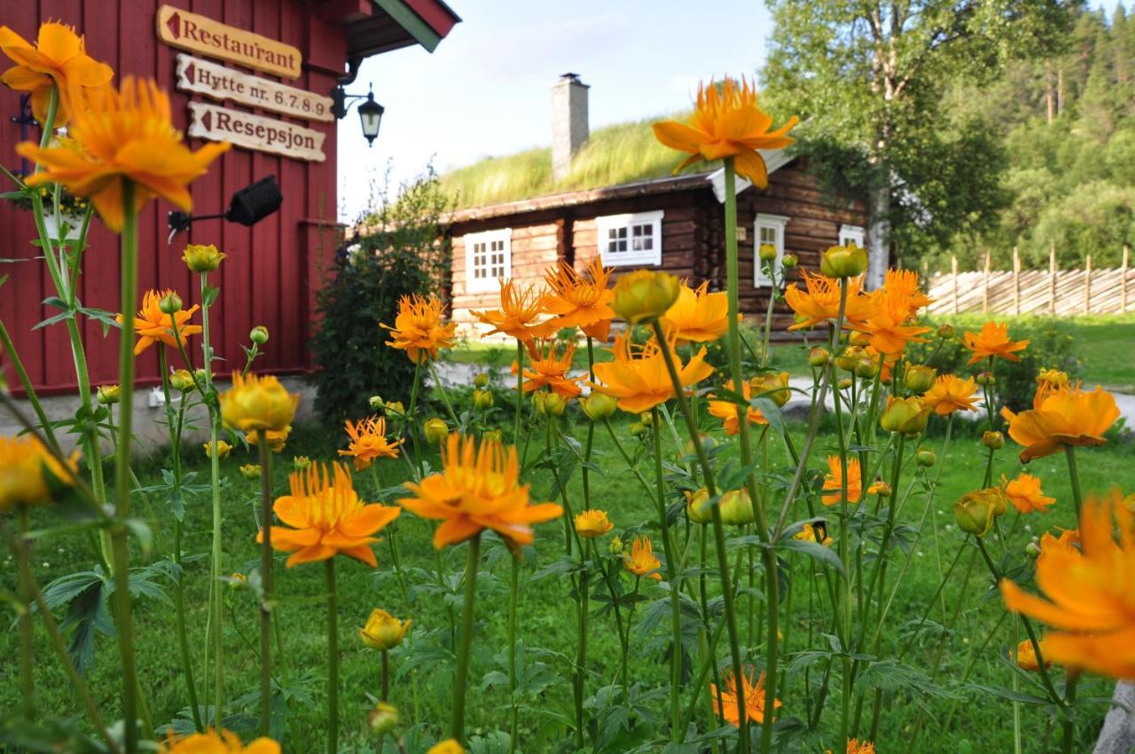 Rondane River Lodge - Rondane Gjestegard Enden エクステリア 写真