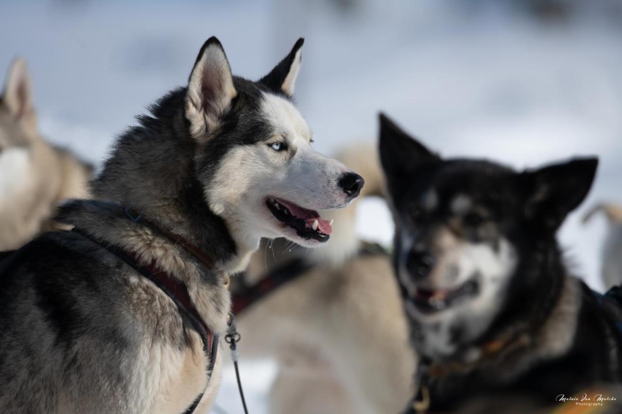 Rondane River Lodge - Rondane Gjestegard Enden エクステリア 写真