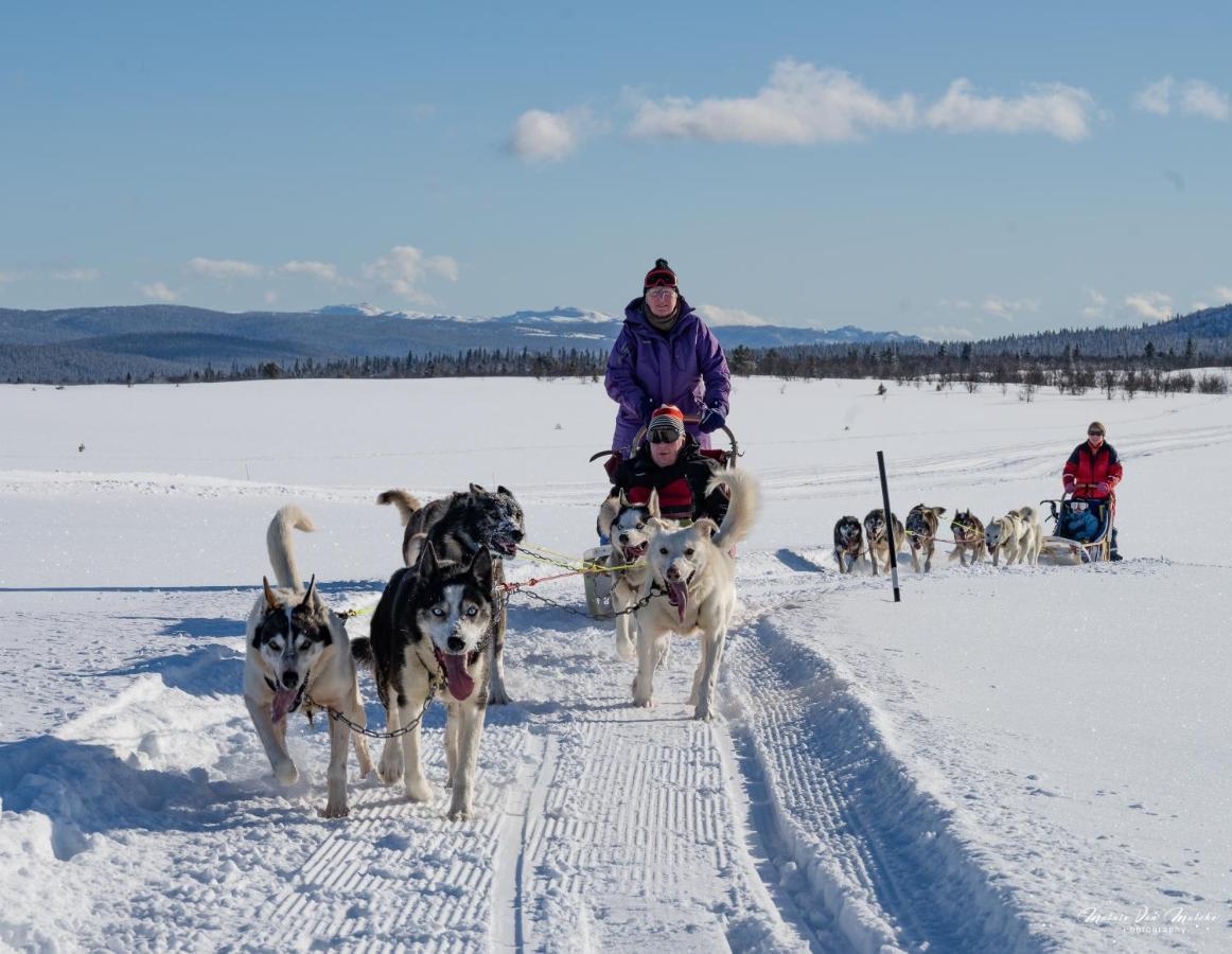 Rondane River Lodge - Rondane Gjestegard Enden エクステリア 写真