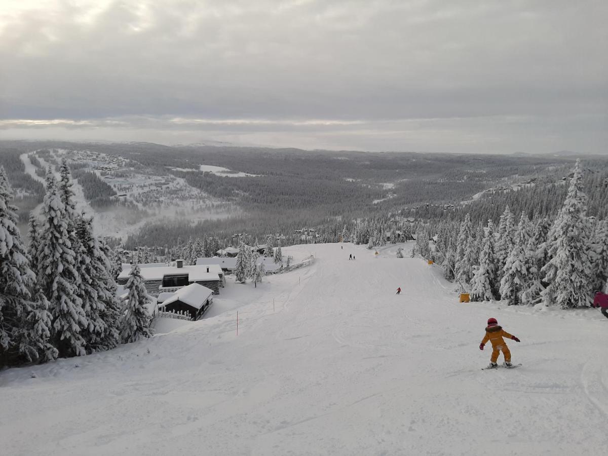 Rondane River Lodge - Rondane Gjestegard Enden エクステリア 写真